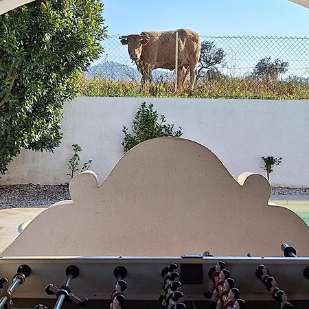 Portela Guesthouse Cercal do Alentejo Eksteriør bilde